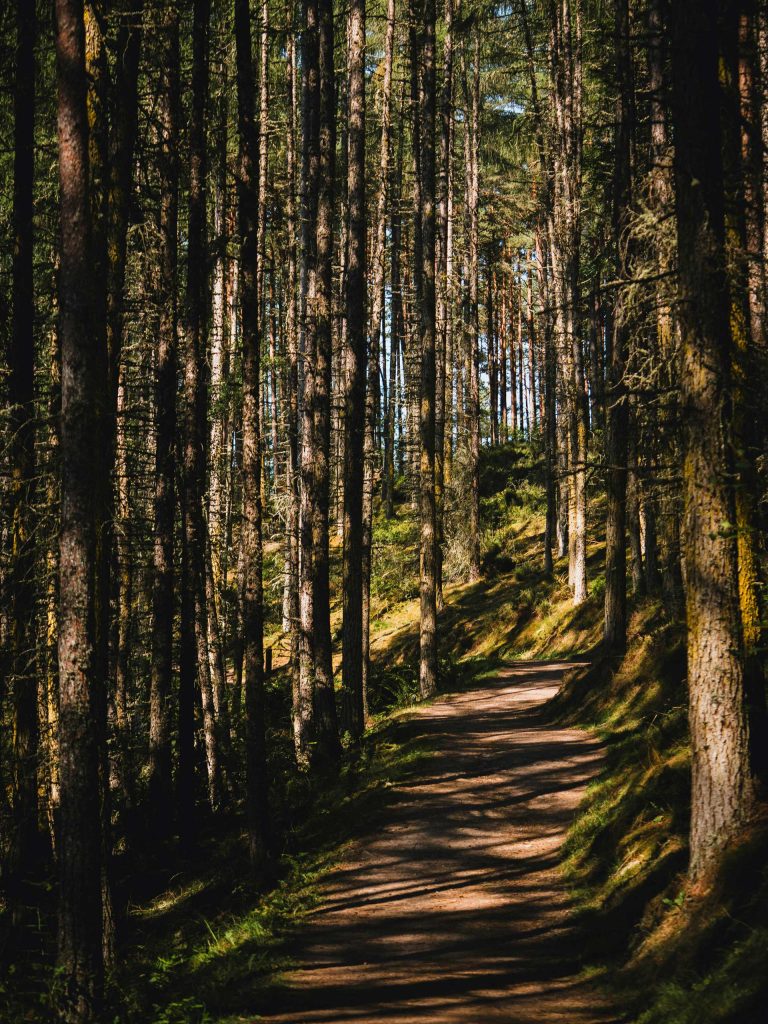 Trail and Park Refresh